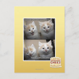 Cartão Postal It was Fluffy