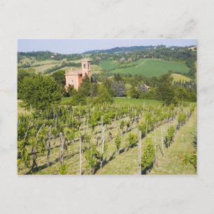 Cartão Postal Italia, Bolonha, vista através do vinhedo a Chies