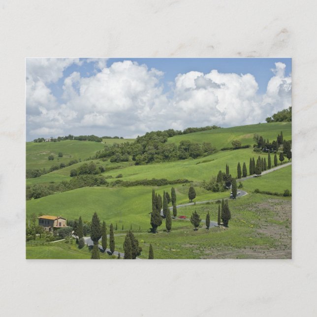 Cartão Postal Itália, Toscana. La Foce. Uma estrada curva sobe (Frente)