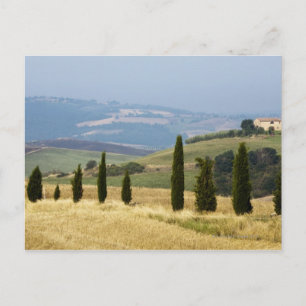 Cartão Postal Itália. Toscana. Pienza.