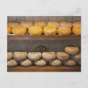 Cartão Postal Itália. Toscana. Pienza. 3