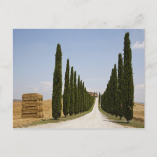 Cartão Postal Itália. Toscana. Val D'Orcia (Vale Orcia) 3