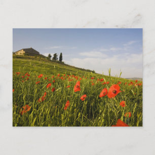 Cartão Postal Itália, Toscana, Villa Toscana na Primavera Com