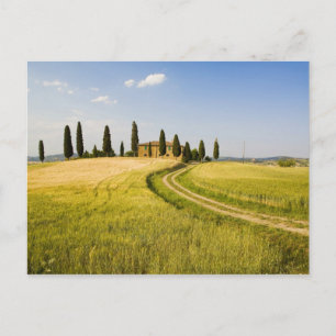 Cartão Postal Itália, Toscana, Villa Tuscana perto de Harvest.