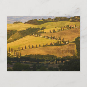 Cartão Postal Itália, Toscana, ZigZag Road na Toscana.