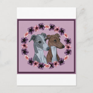 CARTÃO POSTAL ITALIANO GREYHOUND DUO