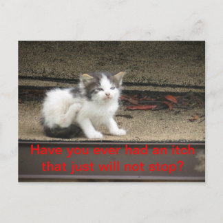 Cartão Postal Itchy Kitten