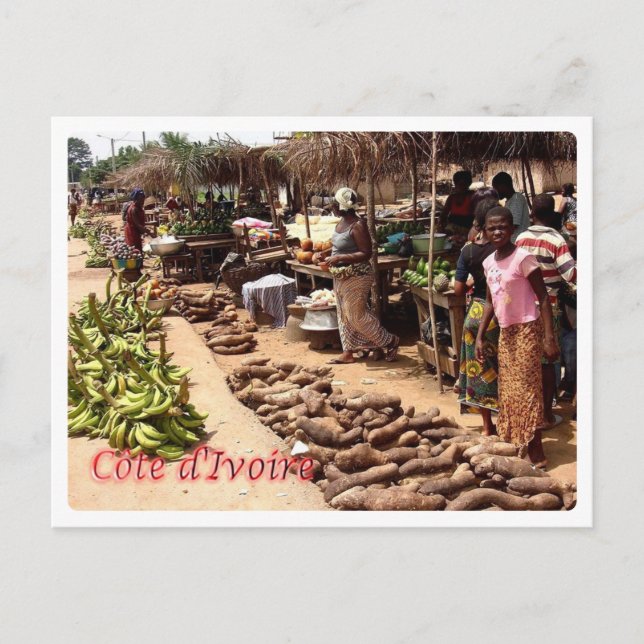 Cartão Postal Ivory Coast - Traditional Market - (Frente)