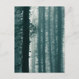 Cartão Postal Ivy Forest Nature Foto