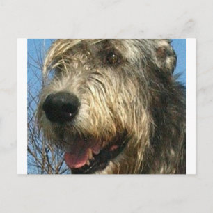 Cartão Postal iw.png