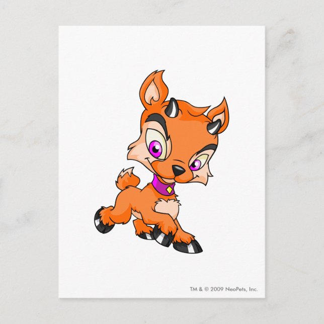 Cartão Postal Ixi Laranja (Frente)