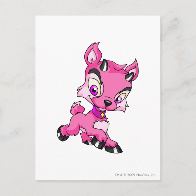 Cartão Postal Ixi rosa (Frente)