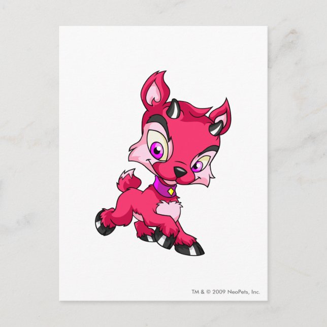 Cartão Postal Ixi Vermelho (Frente)