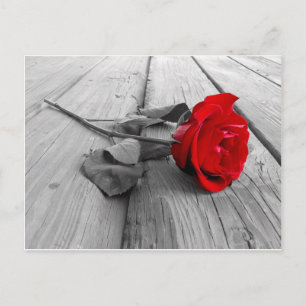 Cartão Postal j0440294