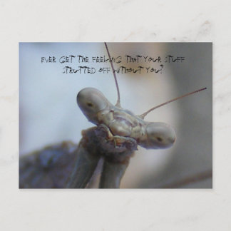 Cartão Postal Já teve a sensação de que suas coisas ...