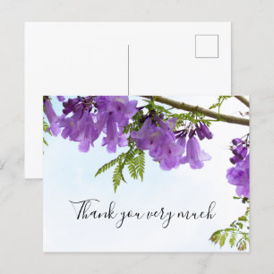 Cartão Postal Jacaranda Purple Flowers Austrália na árvore