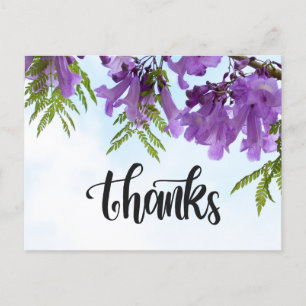 Cartão Postal Jacaranda Roxo florescendo na árvore