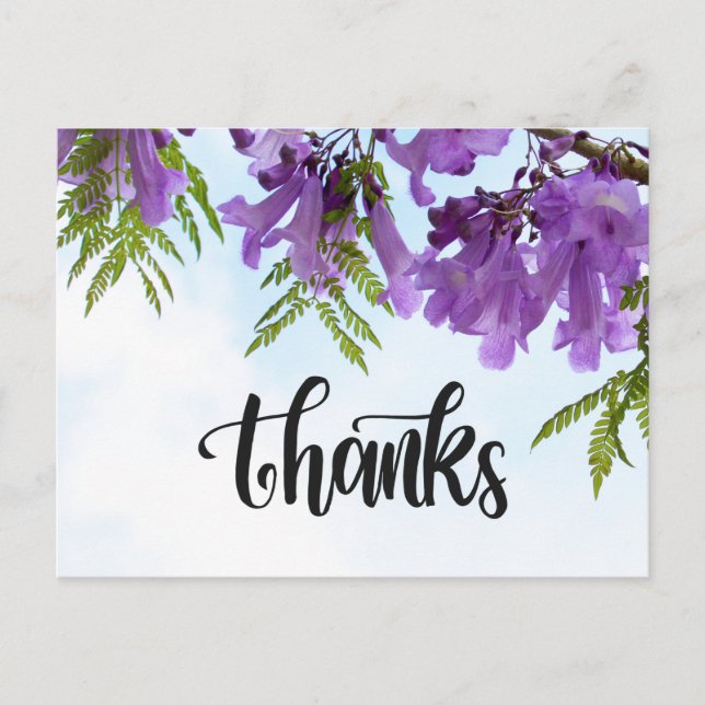 Cartão Postal Jacaranda Roxo florescendo na árvore (Frente)