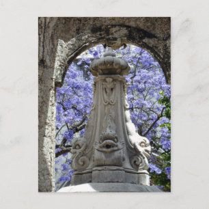 Cartão Postal Jacarandi