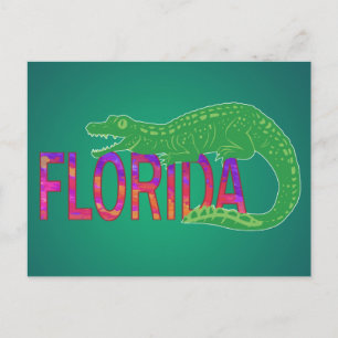 Cartão Postal Jacaré da Flórida