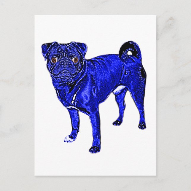 Cartão Postal Jack Mops em Blau (Frente)