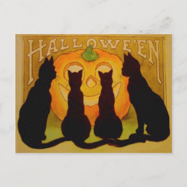 Cartão Postal Jack O Lanterna Pumpkin Black Cat (Frente)