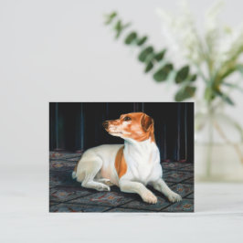 Cartão Postal Jack Russel Postcard