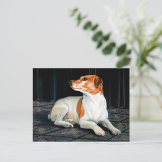Cartão Postal Jack Russel Postcard