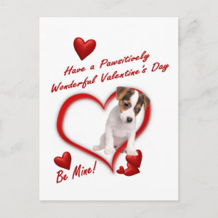 Cartão Postal Jack Russell Puppy Love Em Um Cartão-Postal De En