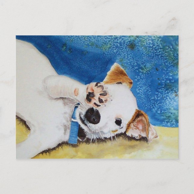 Cartão postal Jack Russell Terrier (Frente)