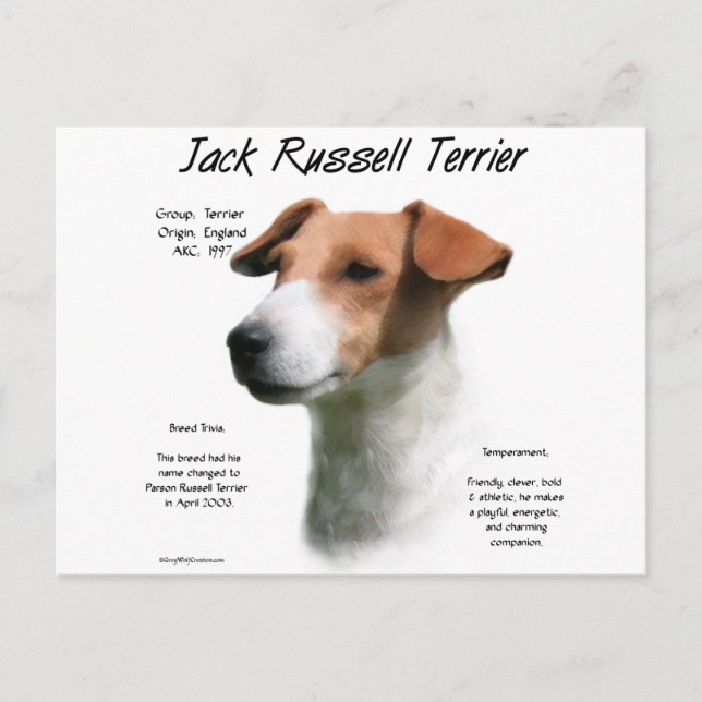 Cartão Postal Jack Russell Terrier History (Frente)