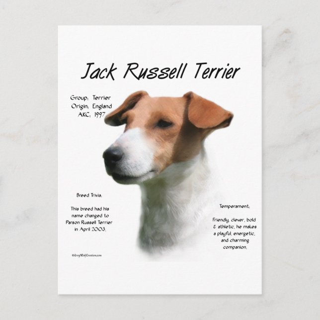 Cartão Postal Jack Russell Terrier History (Frente)
