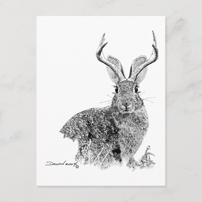 Cartão Postal Jackalope (Frente)