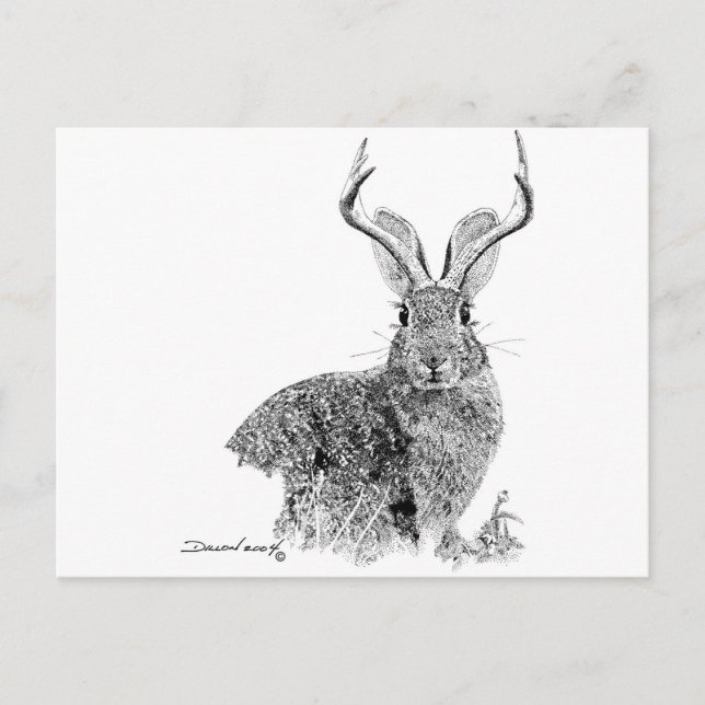 Cartão Postal Jackalope (Frente)