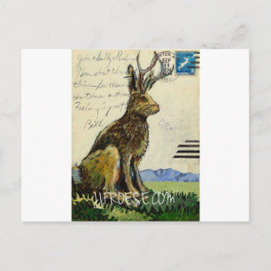 Cartão Postal Jackalope nº 2 por James J. Froese