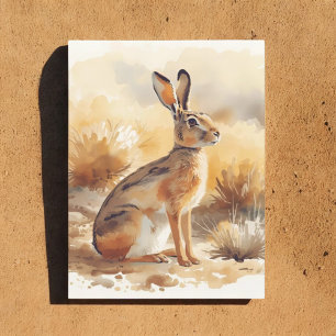 Cartão Postal Jackrabbit no deserto Brussel Sudoeste