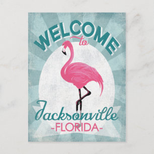 Cartão Postal Jacksonville Flórida Flamingo Rosa Retro