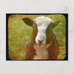 Cartão Postal Jacob Lamb