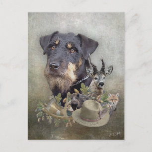 Cartão Postal Jagdterrier