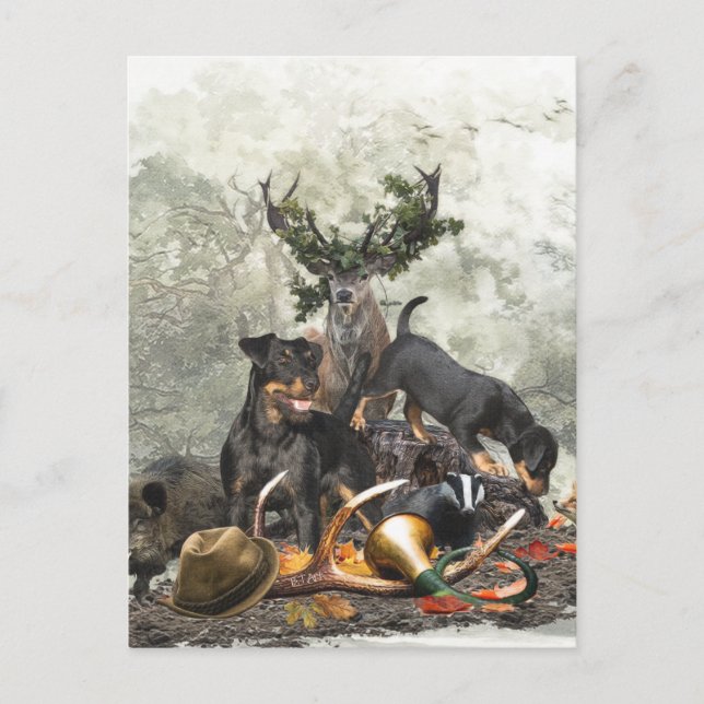 Cartão Postal Jagdterrier, Caça alemã Terrier (Frente)