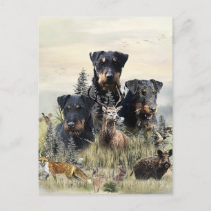 Cartão Postal Jagdterriers v. Renbrad Kennel