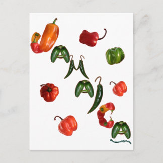 Cartão Postal Jamaica Chili Peppers