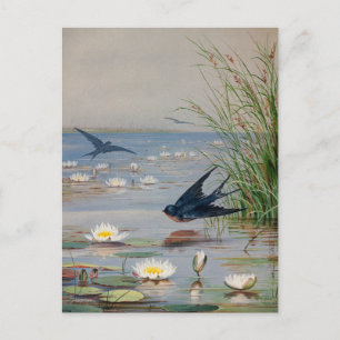 Cartão Postal Janeiro   Fidelia Bridges