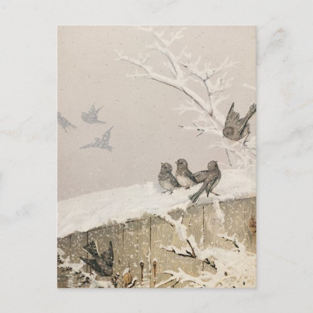 Cartão Postal Janeiro II | Fidelia Bridges (Frente)