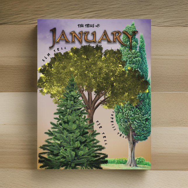 Cartão Postal Janeiro Mês Árvores Elm Fir Cypress (Criador carregado)