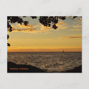 Cartão Postal Janela da Natureza