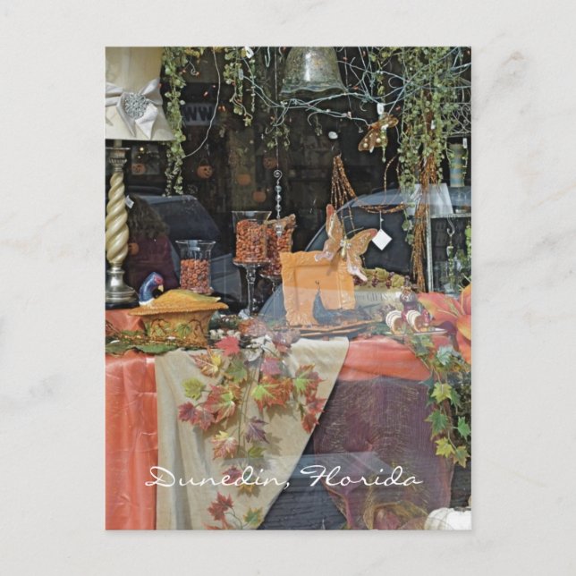 Cartão Postal Janela de Compro de presentes - Dunedin (Frente)
