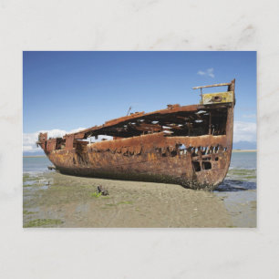 Cartão Postal Janie Seddon Shipwreck, Motueka, Nelson