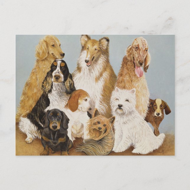 Cartão Postal Janto de cães (Frente)