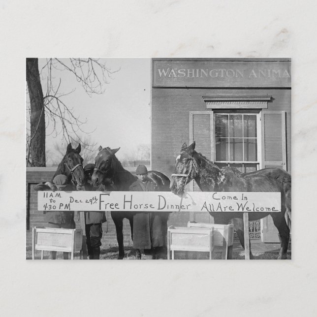 Cartão Postal Janto gratuito para cavalos, 1923 (Frente)